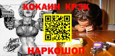 гидропоника Пенза