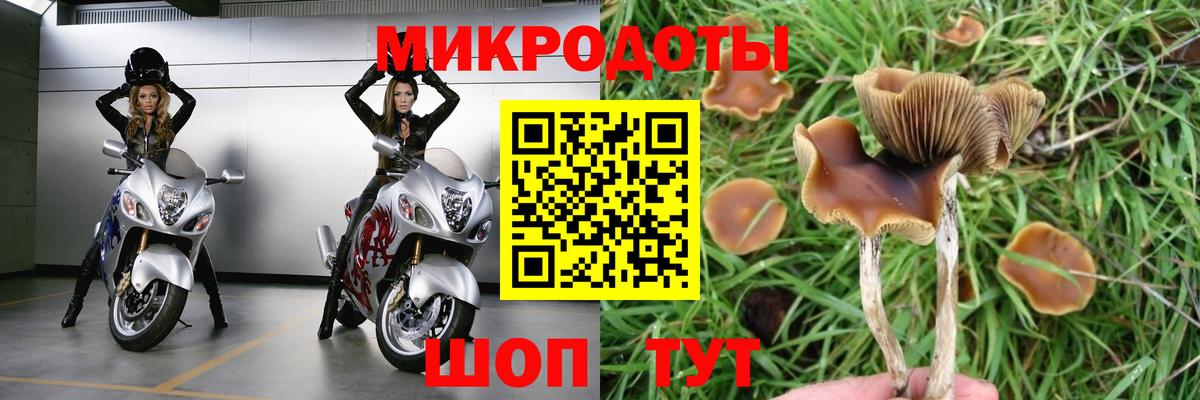 Галлюциногенные грибы мухоморы Солнечногорск