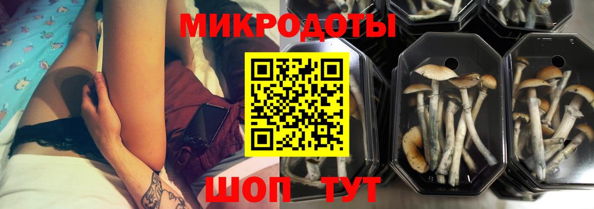 Псилоцибиновые грибы GOLDEN TEACHER  Вход с VPN  Солнечногорск 